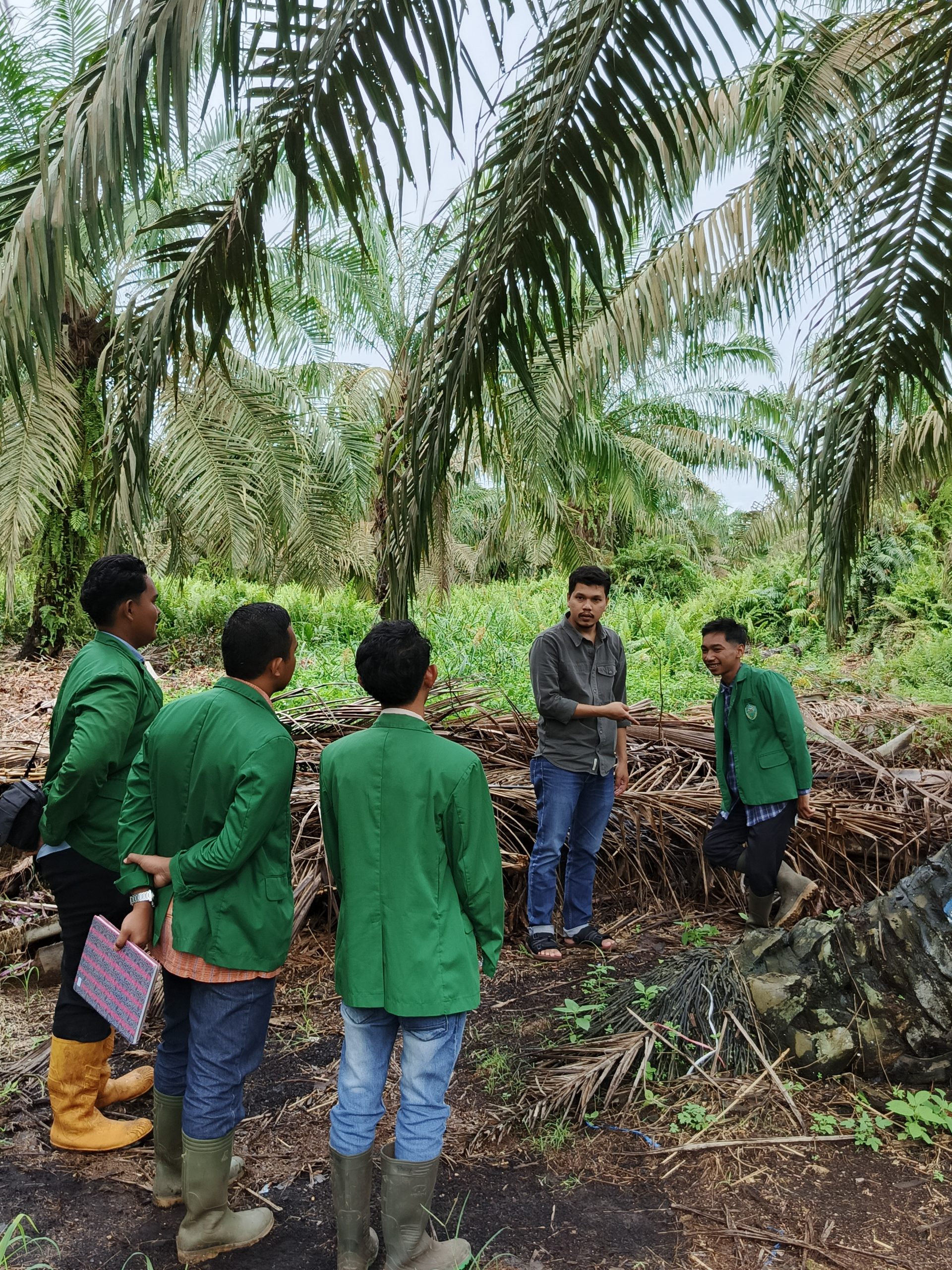 Mahasiswa Fakultas Pertanian Universitas Alwashliyah Medan ditinjau langsung oleh Bapak Ichpan Zulfansyah, S.Agt., M.Si selaku Dosen Pembimbing PKL